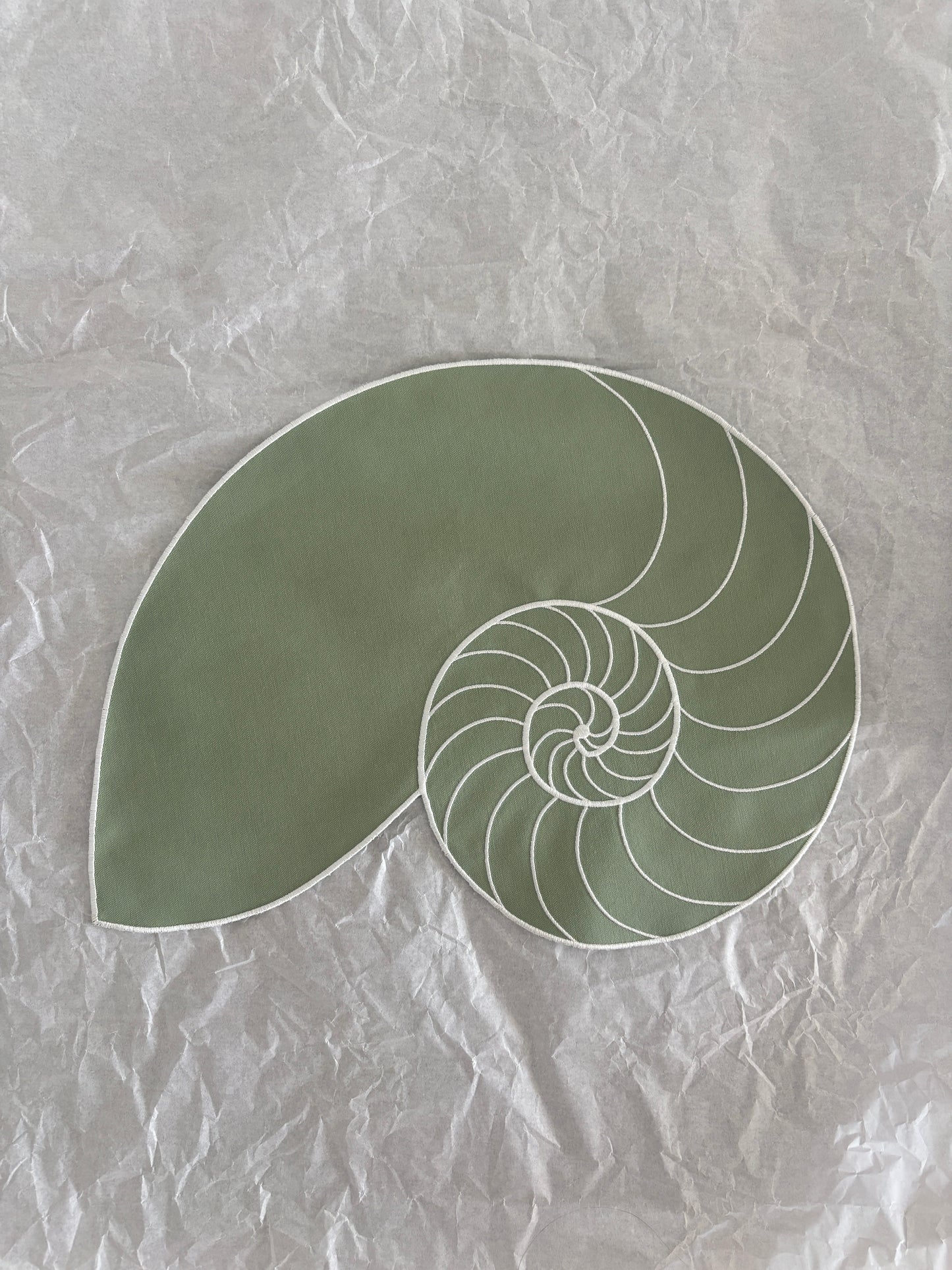 Everyday Nautilus