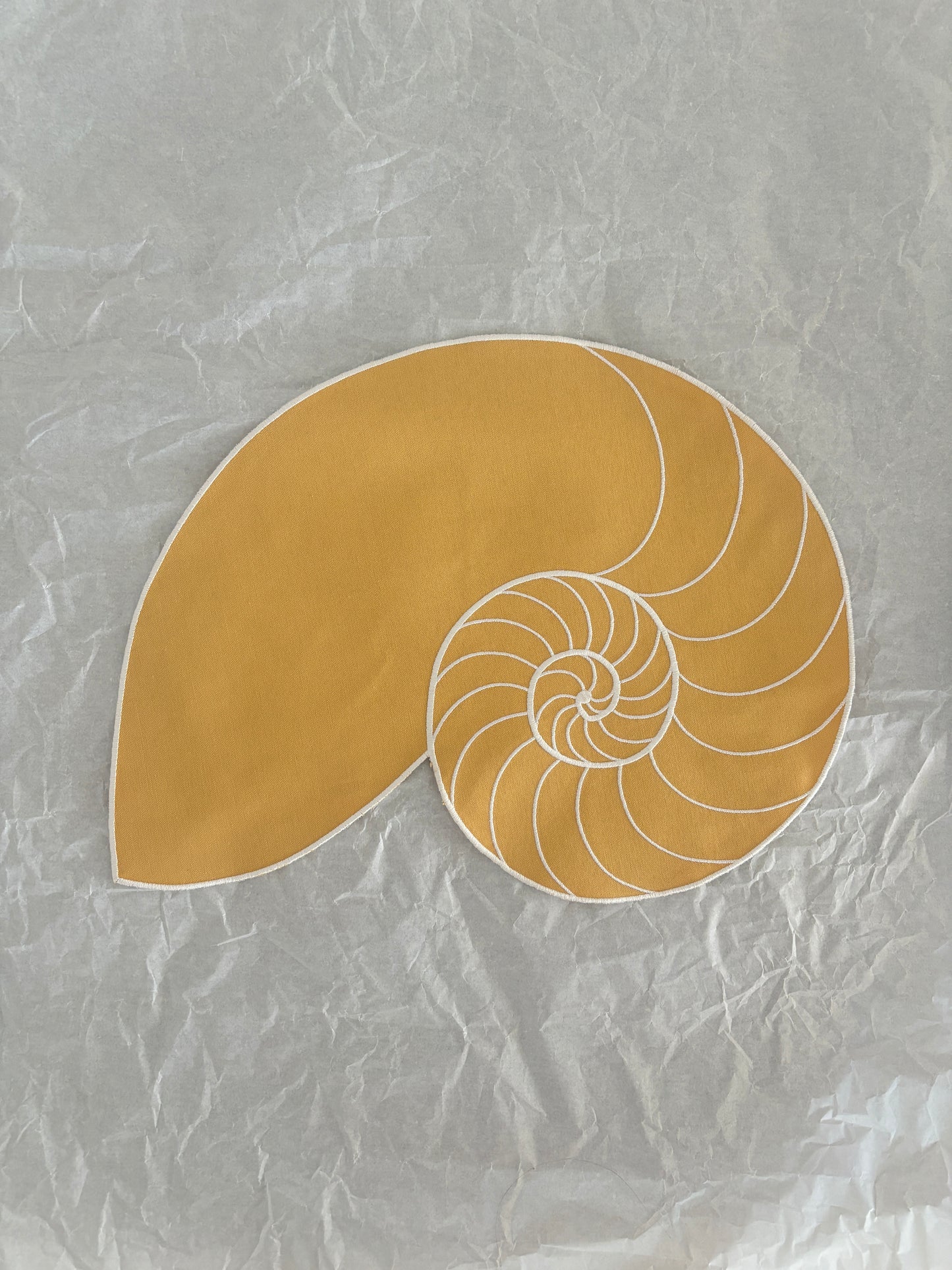 Everyday Nautilus