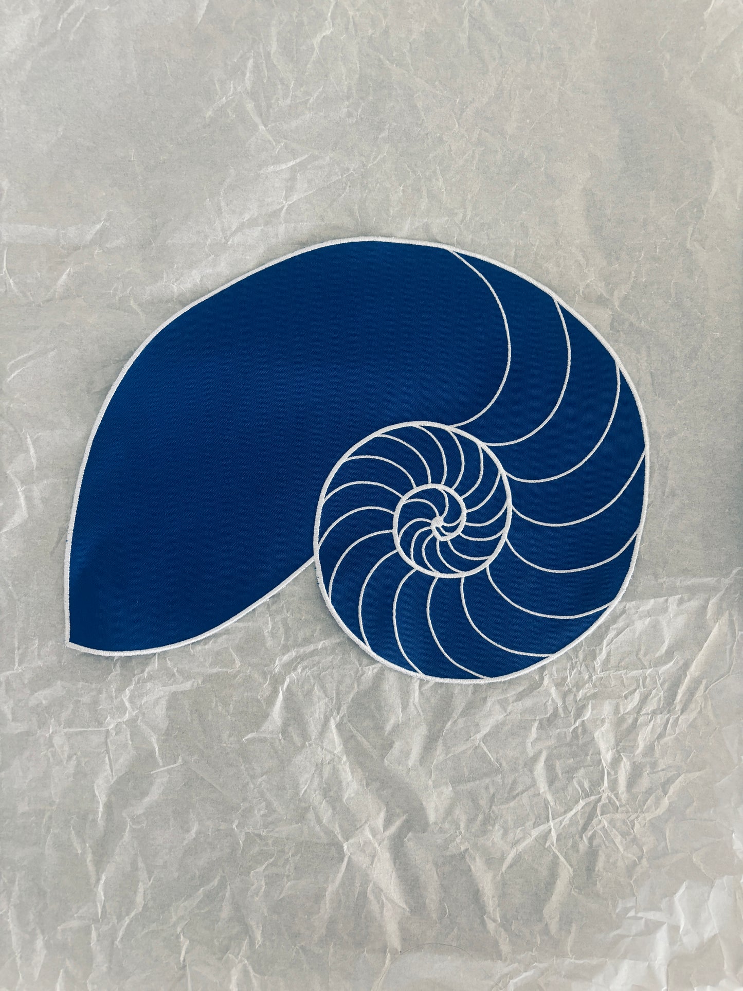 Everyday Nautilus