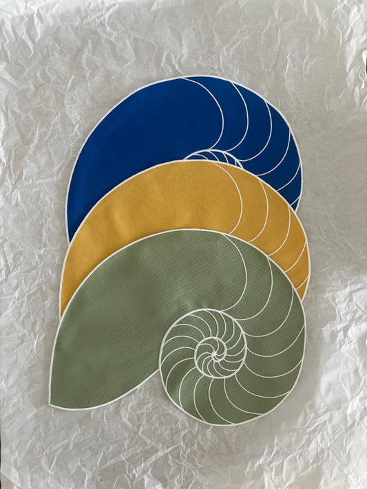 Everyday Nautilus
