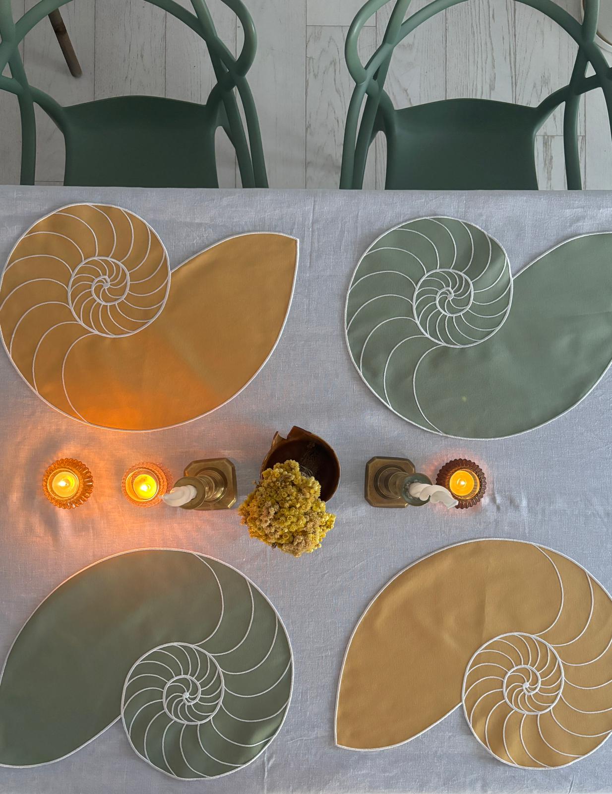Everyday Nautilus