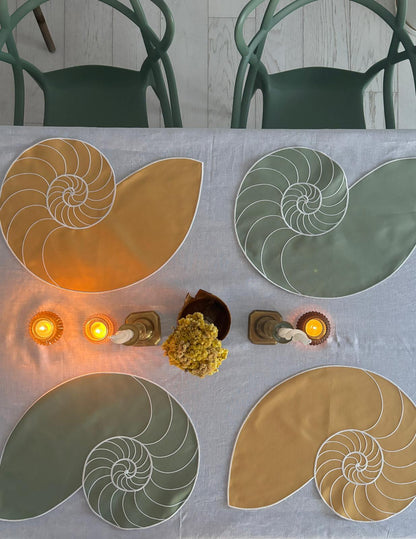 Everyday Nautilus